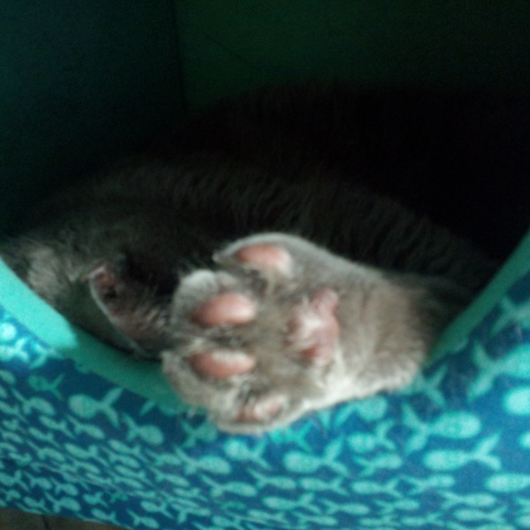 MEET YOUR POSHER, Tatiana ππ π»πΆπ - Picture 4 of 15